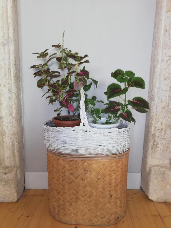 BubiBì Apartment Cagliari Ngoại thất bức ảnh